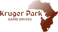 Kruger Park Game Drives