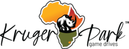 Kruger Park Game Drives